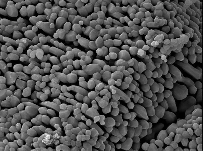 17.Low soda calcined alumina (1.24)